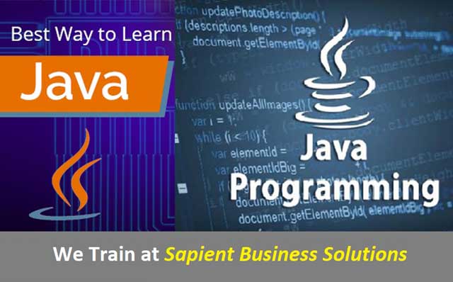 Java with Database for Beginners